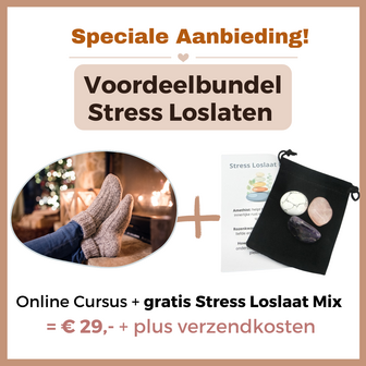 Online cursus Stress Loslaten in 5 stappen (met gratis Stress Loslaat Mix)